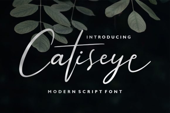 Catiseye: A Font That Speaks Clearly