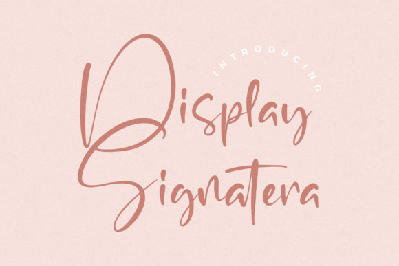 Display Signatera: A Font That Speaks Volumes