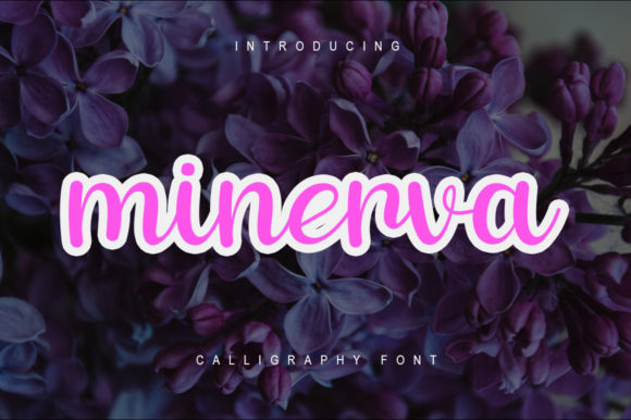 Minerva: A Playful Script Font